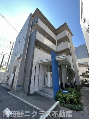 サザングレイス