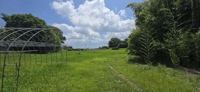 富津市数馬　中古戸建のその他|前面道路は西側幅員約2.3m