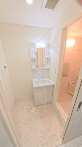 オーシャンズ西向日の洗面所