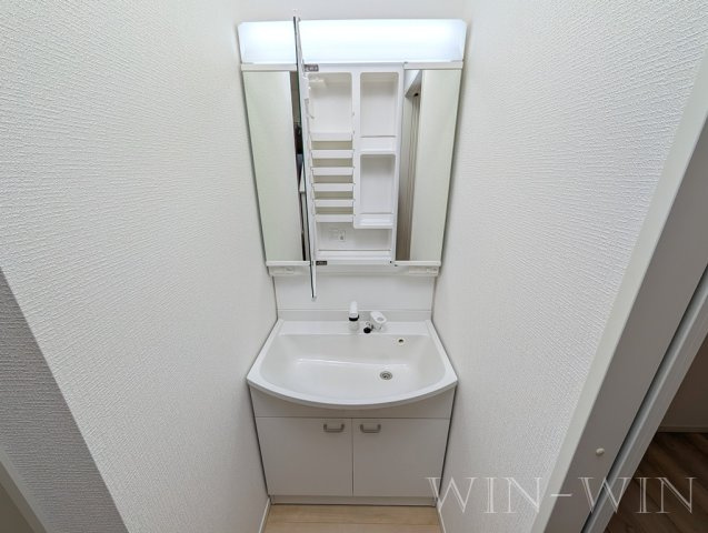 クレイドルガーデン豊橋市北島町第2の独立洗面台