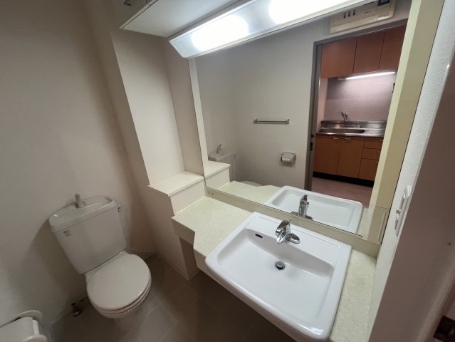 ラウンドタワーオペリアの洗面所