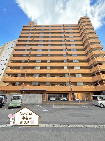 朝日プラザ大和町の外観