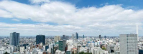 ブリリアタワー池袋の展望
