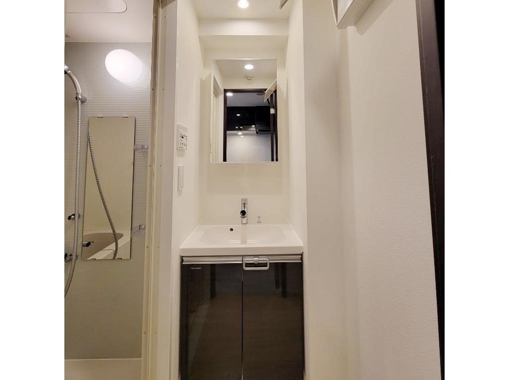 ルフレ プレミアム新小岩の洗面所