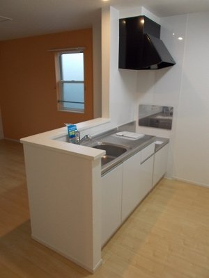 ビッグ　アイランド　Ⅰのキッチン