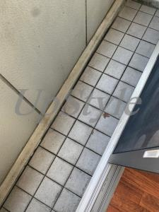 【バルコニー】 | フラット梅島