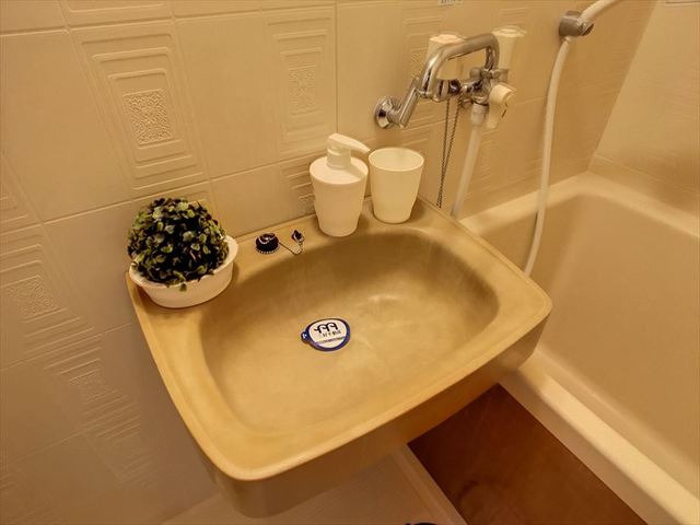 プリメゾン大橋の洗面所