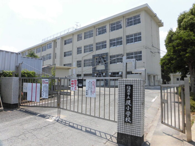  | シャトーブリアン | 市立堤小学校 386ｍ