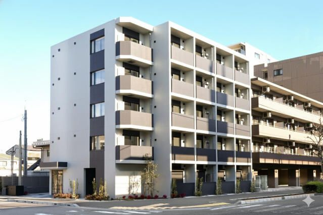 ＬＩＶＥ　ＲＥＳＴ　ＳＨＩＮＯＺＡＫＩ　２３２