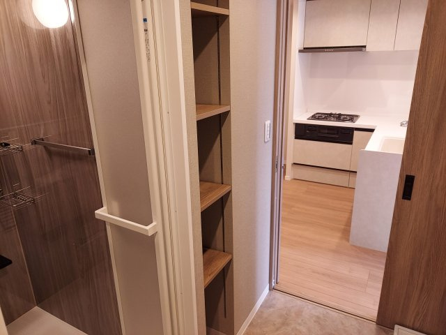 藤和ライブタウン宝塚の収納|洗面収納