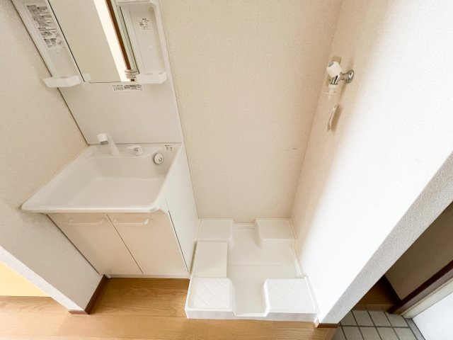 フィットハイム日の出の洗面所