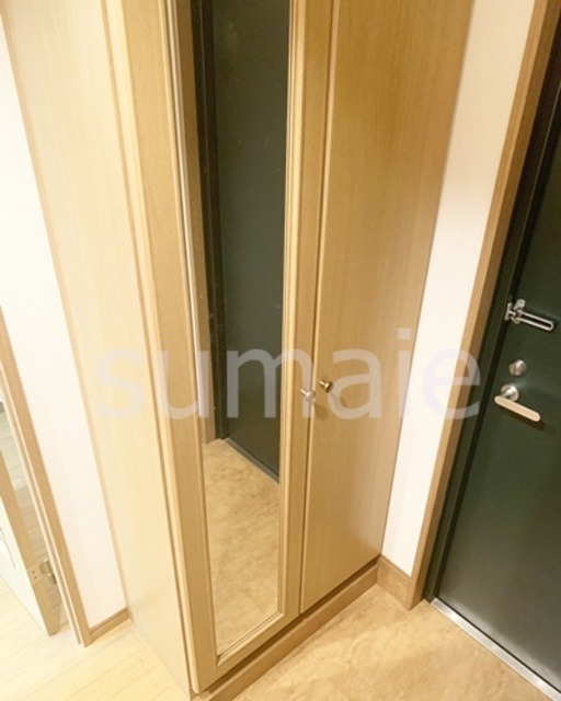 センタービレッジコガの玄関|鏡です☆彡