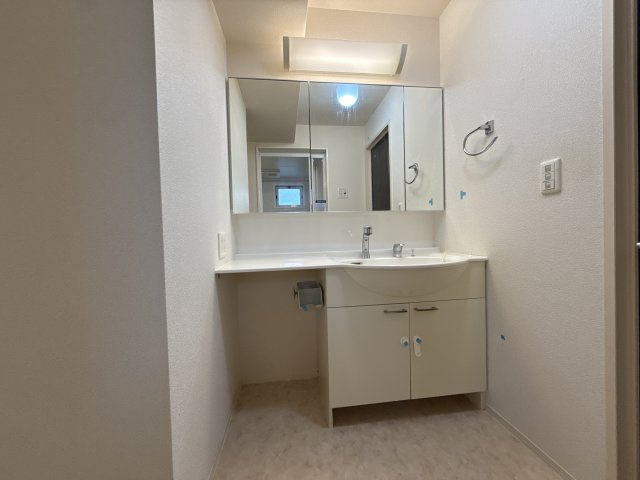 セジュール小川の洗面所