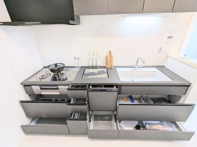 葛飾区奥戸２丁目の新築戸建のキッチン|～食器洗浄乾燥機付のキッチン写真～