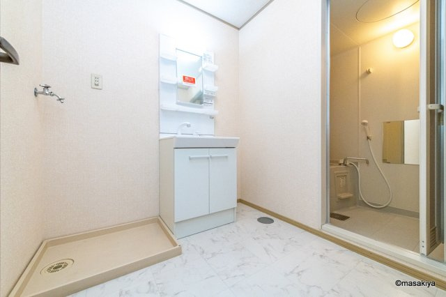 ドミール・Yの洗面所