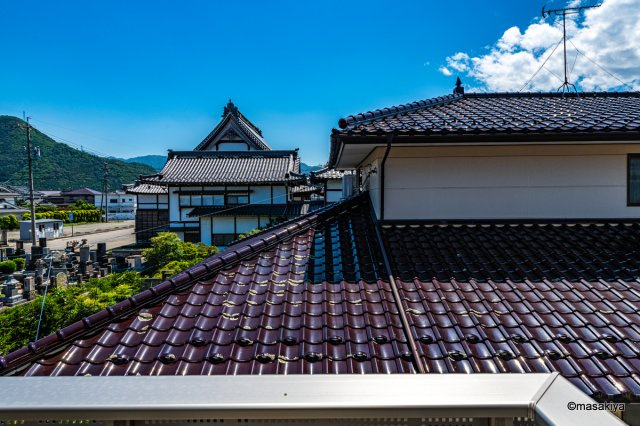 レジデンスフラワーⅡの展望