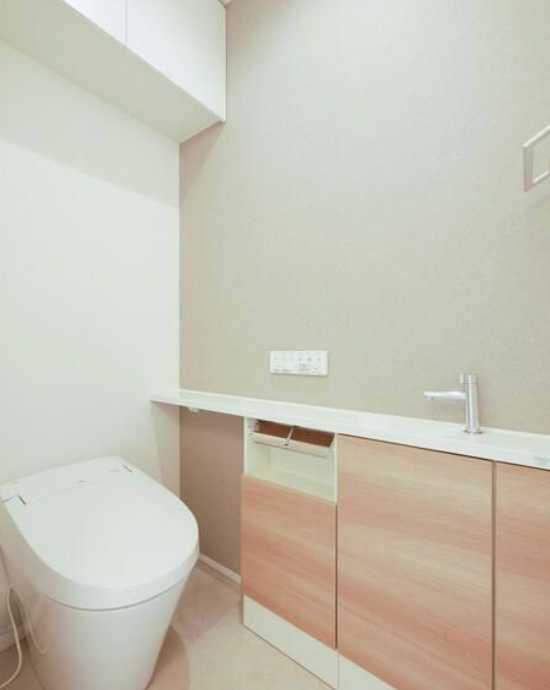 スタイリオ池尻大橋　駅近　礼金０　フリーレントのトイレ