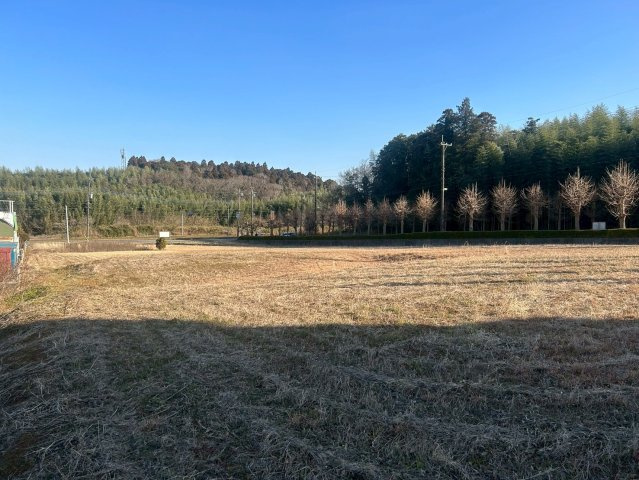 八街市大関佐倉台　山林