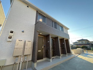 フリージアの画像