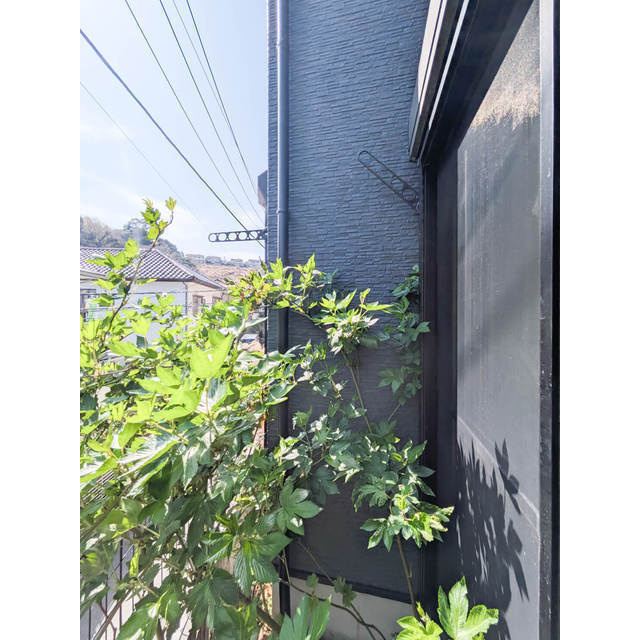 メゾン追浜の内装