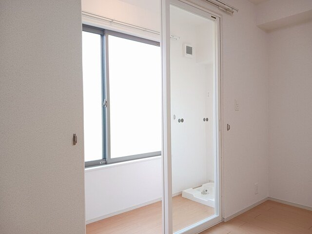 パルム・シャドーのその他