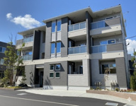 トランクイル・Ｙの画像