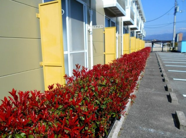 レオパレスアビタシオンのその他