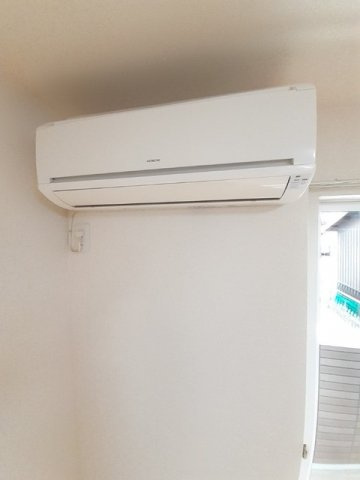 オーベル・シュタインのその他