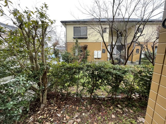 メモリーステージ　Bの展望