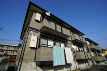 フローラ椿の画像