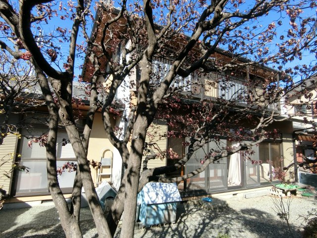 前橋市山王町　中古住宅の外観|建物外観を気になさる方へ、見た目の良い物件です