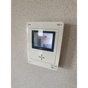 ルネッサンス雅A棟のセキュリティ