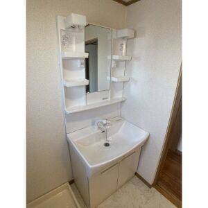 ルネッサンス雅A棟の洗面所