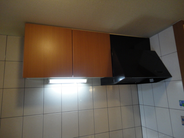 グランエストのその他|レンジフード