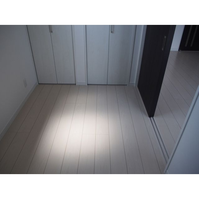 アバンティオエクラのその他