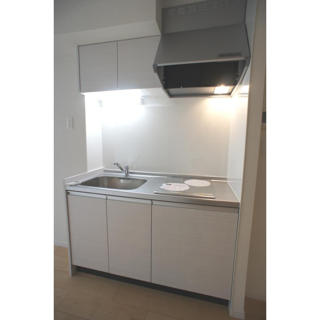 Vieuno TN ビューノティーエヌのキッチン