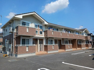 ヴィオラ　Ｃの画像