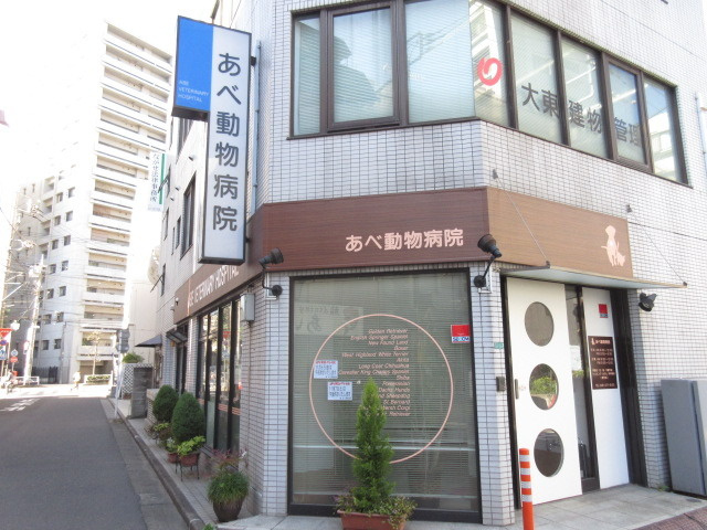 プレシアのその他|あべ動物病院