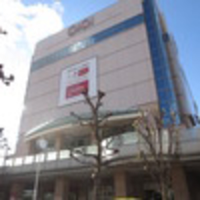 プレシアのその他|マルイ