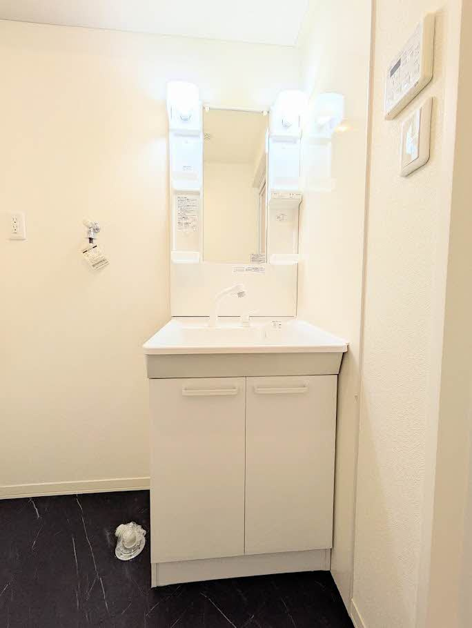 グランデ松保町の洗面所