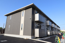 soavino（ソアヴィーノ）　Ａの画像