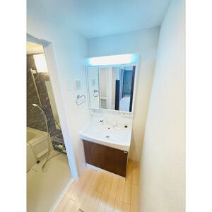 ヴェリテの洗面所