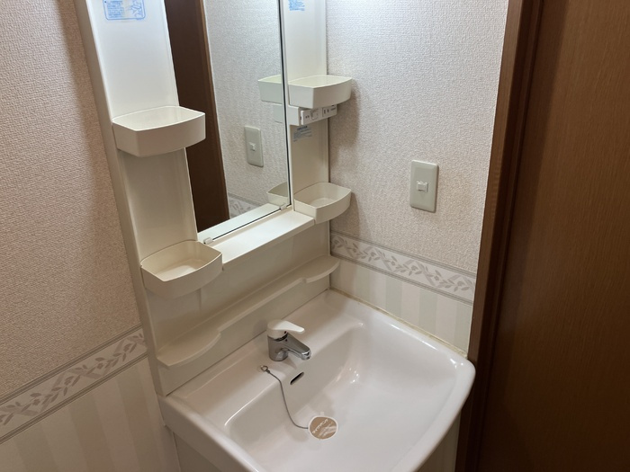 アムール E棟の独立洗面台|洗面台