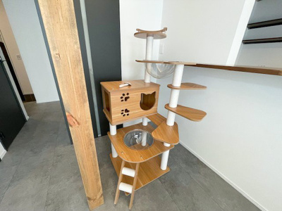 【居間・リビング】 | 鈴鹿市中江島町 | キャットタワー