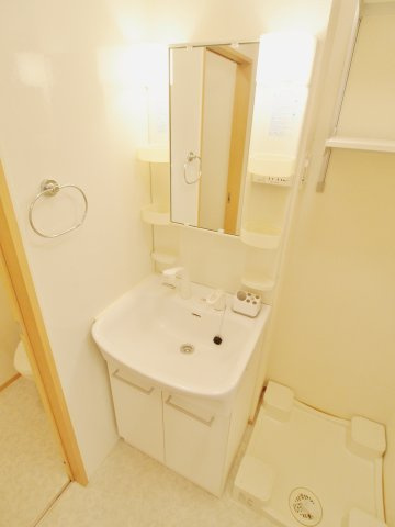 ブルートップCの洗面所