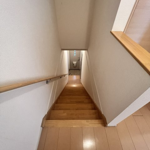 パレスミノルのその他