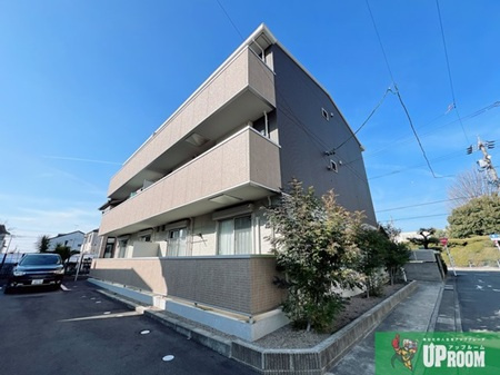 コージーコート