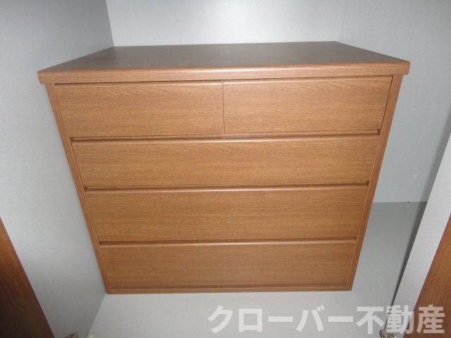 ローズグレイ・パレスの収納|収納内タンス