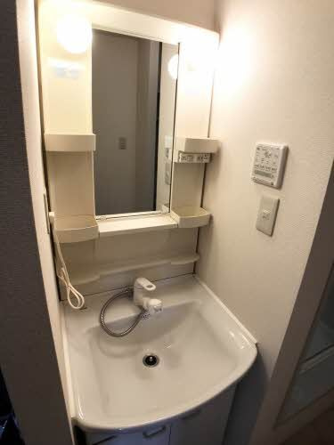 コートラックス Ｄの洗面所