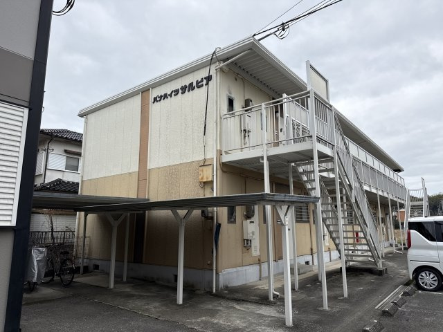 パナハイツサルビア